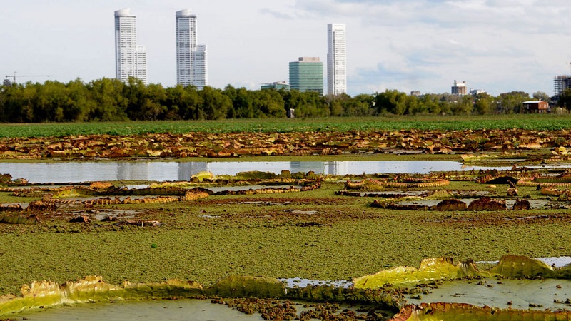 rosario_turismo_24082017.jpg