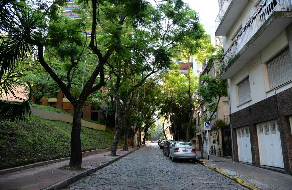 Foto: César Arfeliz