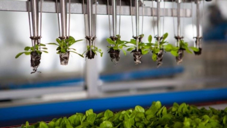 agtech.jpg_.jpg
