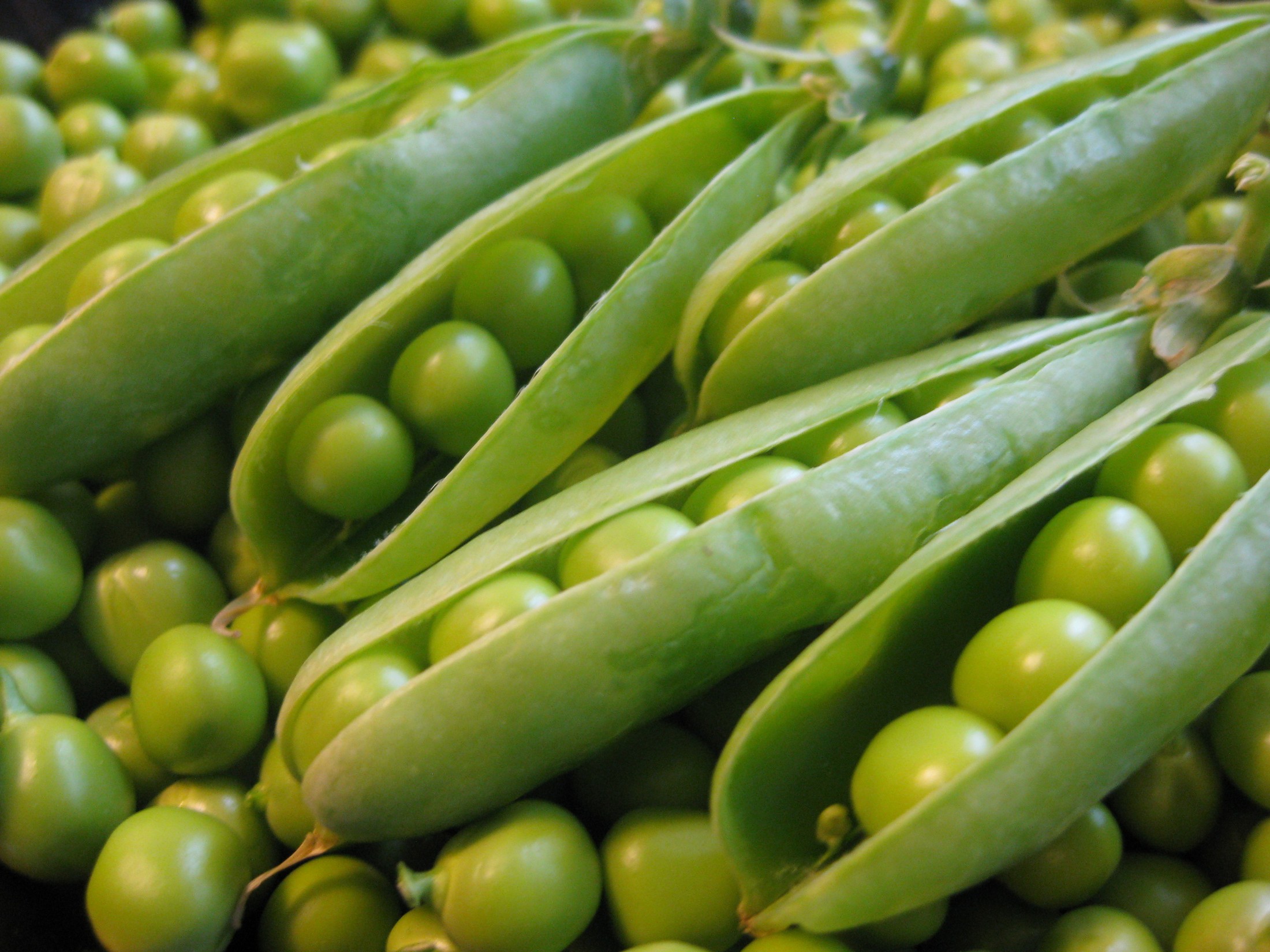arvejas_verdes.jpg
