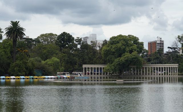 ph_silvina_salinas_bl.jpg