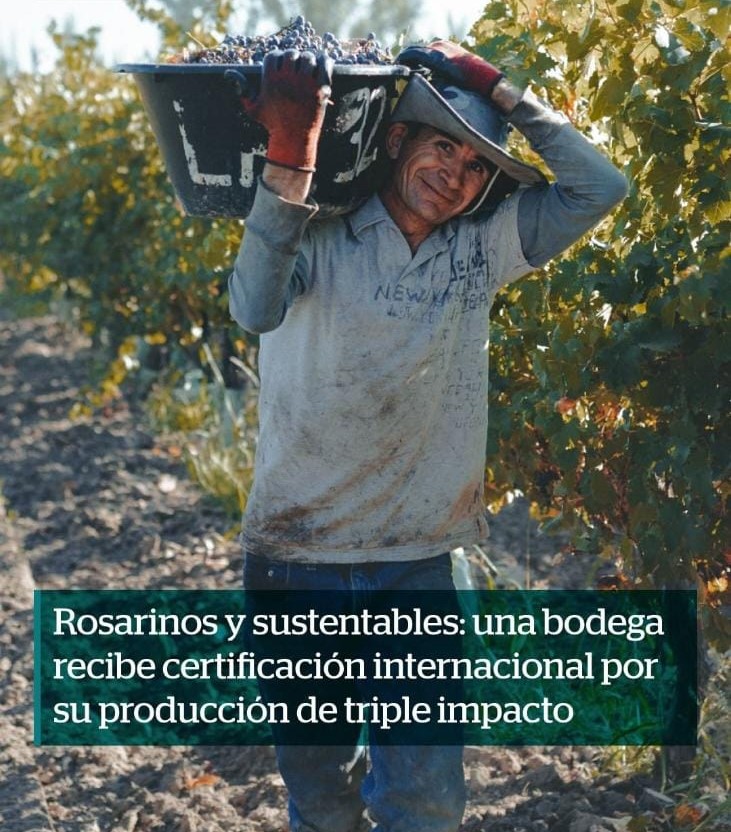 ROSARINOS Y SUSTENTABLES - BODEGA ARAUJO