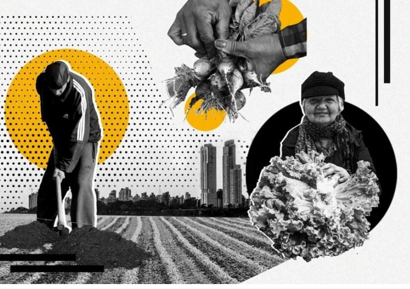El Programa de Agricultura Urbana de Rosario produce alimentos agroecológicos y da trabajo a 360 personas